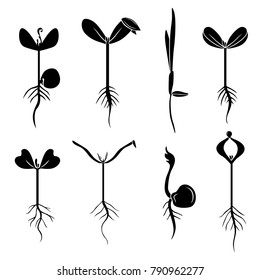 Vector illustrations of silhouette of sprouts set