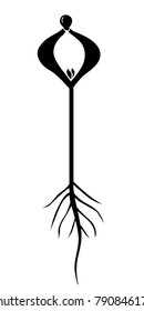 Vector illustrations of silhouette of tomatoes sprout