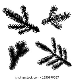 Vector illustrations of Silhouettes of fir branches set