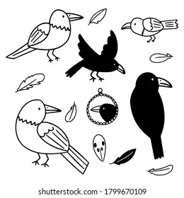 Vector illustrations of simple ravens on white background. Drawn by hand halloween doodle set of ravens and feathers for different decorative spooky designs.