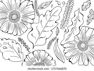  Vector illustrations in sketch style. Collection of hand drawn flowers and leaves, drawn by a black liner.