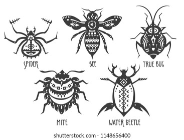 Vector illustrations of spider, bee, true bug, mite, water beetle decorated with patterns.