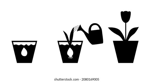 Vector illustrations of sprouts tulips set with bulbs in flowerpot