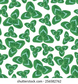 Vector illustrations of  St. Patrick's Day seamless pattern of clover leaves on white background