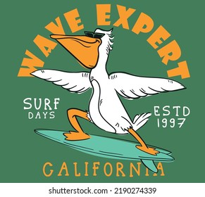 ilustraciones vectoriales con personajes de aves surfistas para camisetas