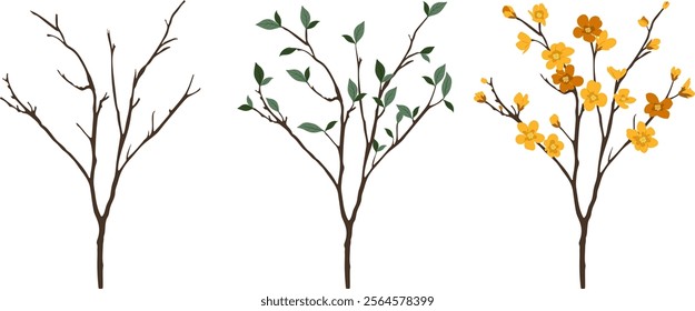 Vector illustrations of tree branches with leaves and flowers for design projects