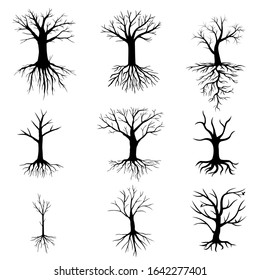 Vector illustrations of trees without leaves set