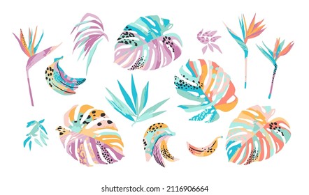 Vector illustrations of tropical leaves, flowers and bananas. Modern exotic design. Clipart, isolated elements.