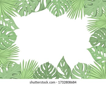 Vector illustrations of tropical leaves frames