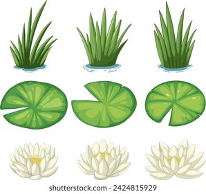 Vector illustrations of various water plants.