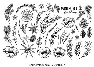 Vector illustrations - Winter floral set (flowers, leaves and branches). Hand drawn Christmas elements in sketch style. Perfect for invitations, greeting cards, tattoo, prints, postcards etc