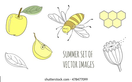 Vector illustrations of a yellow apple, a poppy, a smiling bee and a honeycomb