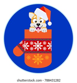 Vector illustrations of yellow dog symbol 2018 with gift box. Year of dog 2018 logo, icon, element for new year of pet 2018 design. Symbol of new year 2018 in Chinese calendar. Happy new year dog.