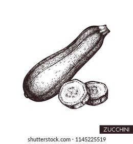 Vector illustrations of Zucchini.  Hand drawn vegetable in engraved style. Healthy food drawing. Fresh and organic farm product for menu design.