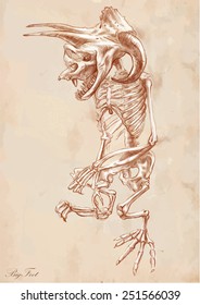Vector illustration.Series of legendary animals and monsters (skeleton): BIGFOOT (Yeti).Drawing comprise at least three layers of lines,the colored background is isolated.Editable in layers and groups