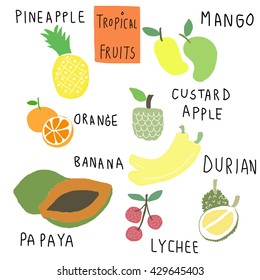 vector illustration-set of tropical fruits such as pineapple, orange, bananas, durian, custard apple, papaya. flat design on white background.