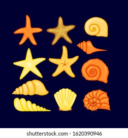 vector illustration.Summer concept with shells and sea stars.