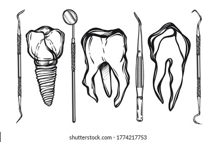 Vector illustration.Tooth implant on a metal pin. Teeth, Dental instruments, rose hip flowers, print on t-shirt, line art style, Handmade, tattoo