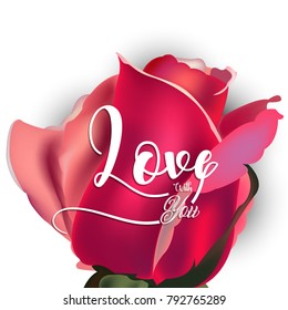 vector illustration.valentine's day with beautiful heart