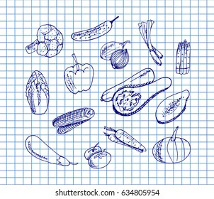 Vector illustration.Vegetables set on copybook background. Free hand drawn.  Pepper, tomato, carrot, onion, eggplant, broccoli. 
