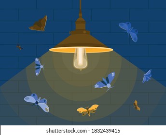 Vector illustration.Wall at night.Luminous lamp and moths flying on the light.