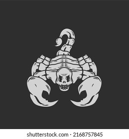 
vector illustration.wild scorpion with skull head.deadly poisonous animal