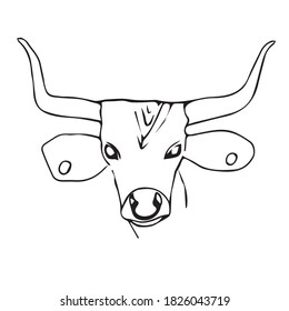 Vector illustration.Year Of The Bull 2021.Cute unusual steers. Illustration for New year and Christmas. The ball is the symbol of 2021.isolated on a white background.