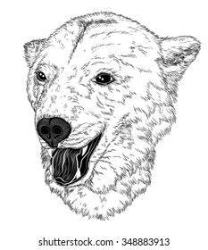 Vector Illustrative portrait of bear (black and white)