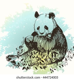 Vector Illustrative portrait of Panda on Watercolor Background. The panda is a of Chinese culture. Hand Sketched attractive Illustration