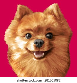 Vector Illustrative portrait of pomeranian spitz dog. EPS 10.