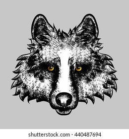 Vector Illustrative Portrait of Wolf. Gray Wolf with yellow eyes.