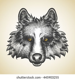 Vector Illustrative Portrait of Wolf. Wolf's head painted pen