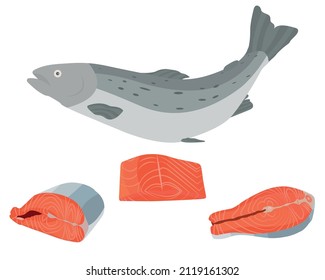 Vector illustraton of salmon fish, salmon raw meat and fillet, on white background