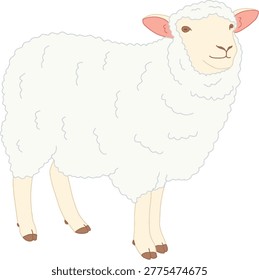 vector illustraton of a sheep