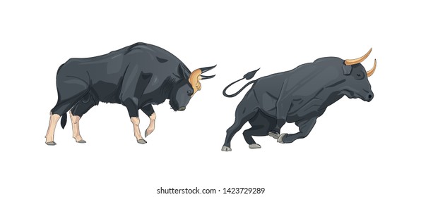 Vector illustrator of a bull, Toro vector