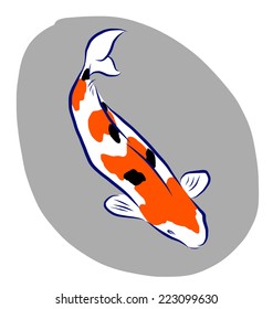 Vector illustrator of free hand sketch koi fish