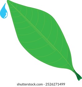 Ícone ilustrador vetorial é um símbolo de frescura e pureza, uma única folha com uma gota de orvalho da manhã. Perfeito para designs minimalistas e arte inspirada no bem-estar.