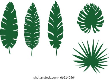 Vector illustrator leaves to decorate in various design
