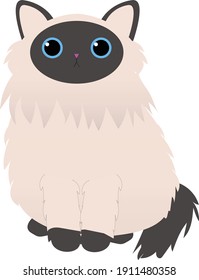 a vector illustrator of persian himalayan cat with a lot of fur and a dark seal mitted colour pattern and dark tail also looks like a siamese cat sitting right in front of people