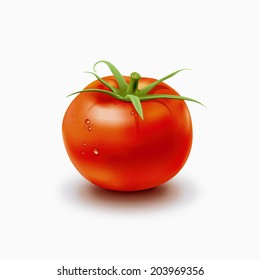 vector illustrator of a red tomato with drops of water isolated 