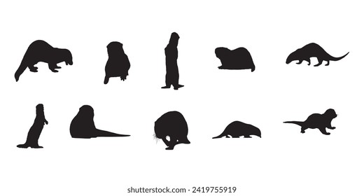 ilustrador vectorial silueta de nutria marina con fondo blanco 