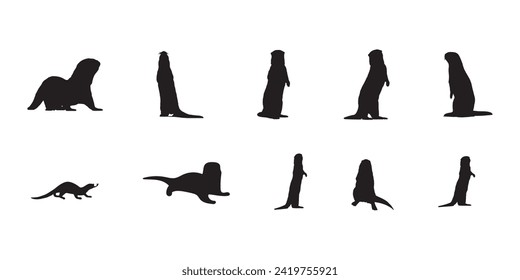 ilustrador vectorial silueta de nutria marina con fondo blanco 