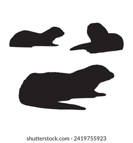 vector illustrator sea otter silhouette with white background 