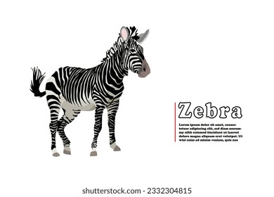Vector illustrator template design for T-shirt