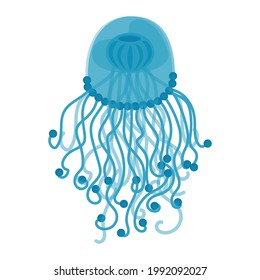 Vector illustrator of translucent blue jellyfish isolate on white background.