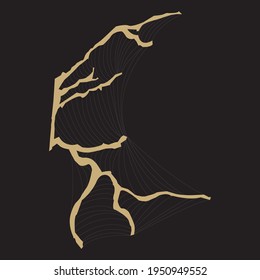 vector illustrator wings. spider web wings. vector fairy design. beginning of creature design. for character design. fairyland. idea for dystopian fairyland creature made with twigs and spiderwebs. 