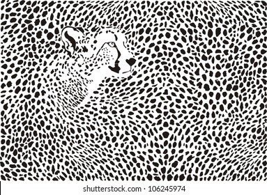 vector illustroation pattern cheetahs background