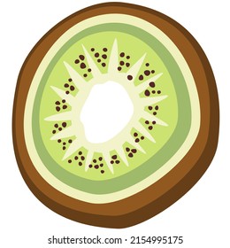 Vector illustrtion of half of kiwifruit. Isolated on white background.