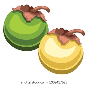 Vector illustyartion of nance fruit green and yellow with brown petal white background.