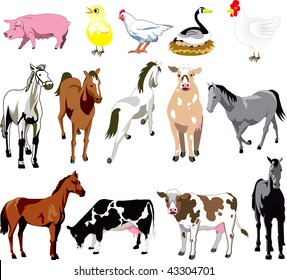 Vector Ilustration of 14 Farm Animals birds, and mammals.